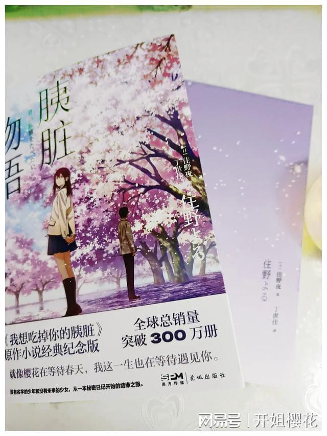 江豚受伤仍奋力戏水,市民戏称其“豚坚强”